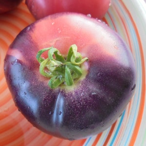 AMETHYST JEWEL Tomatensamen, unbestimmte Erbstück Indigo Blau Rosa Tomaten, Brad's Gates Variety, seltene Samen, 15 Samen