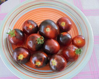 Semillas de Tomate BLUEBERRY, Tomates Rojos Azul Indigo Cereza de Herencia Indeterminada, Semillas Raras, 15 Semillas
