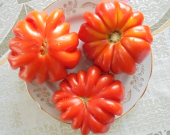 AMERICAN RIBBED Tomato Seeds, Red Ruffled Beefsteak, Indeterminate Tall Fleshy Tomatoes, 15 seeds