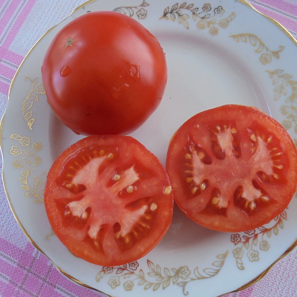 S. PIERRE Tomato Seeds, Indeterminate Heirloom Red Tomatoes, Resistant To Disease, Cool Climate Tomato, 15 Seeds