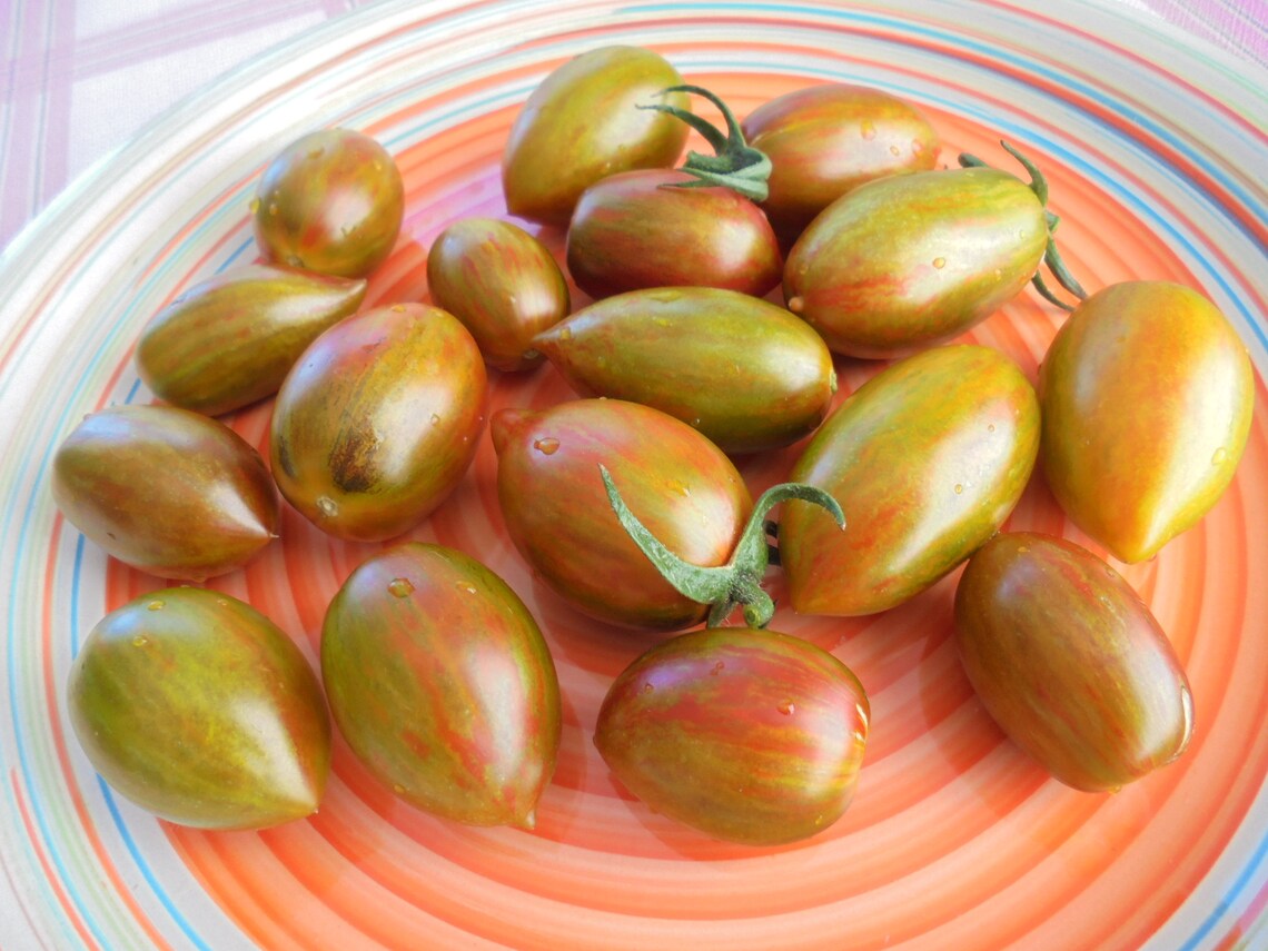 BRAD'S ATOMIC GRAPE Tomato Seeds Heirloom Colorful Etsy Australia