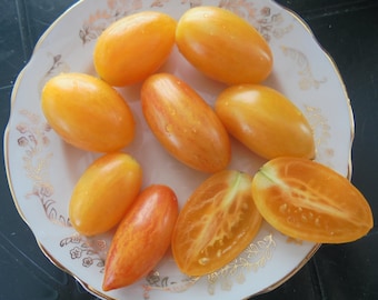 Semillas de tomate ARTISAN BLUSH TIGER, tomate indeterminado temprano, tomates ovalados bicolores para balcón