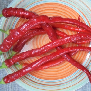 SPIRALUS Sweet Red Green Horn Shaped Pepper Seeds, 20+ Seeds, Early Variety