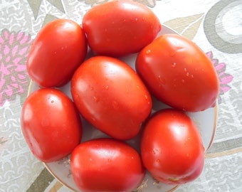 RIO GRANDE Tomato Seeds, Medium Early High Yielding Tomato, Plum Shaped Fruits, 15 Seeds