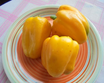 AFRODITA Sweet Bell Pepper Seeds, Large Yellow Juicy Peppers, Medium Early Variety, 20+ Fresh Seeds