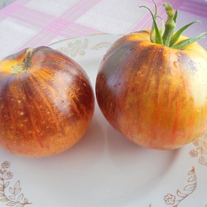 ALICE&#39;S DREAM Tomato Seeds, Heirloom Beefsteak Indigo Bi-Color Tomatoes, Fruity Taste, 15 Seeds