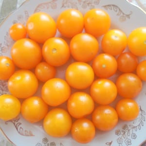 Może przedstawiać: Talerz wypełniony małymi, jaskrawo pomarańczowymi pomidorami. Pomidory są ułożone w okrągłym wzorze, niektóre nakładają się na siebie.