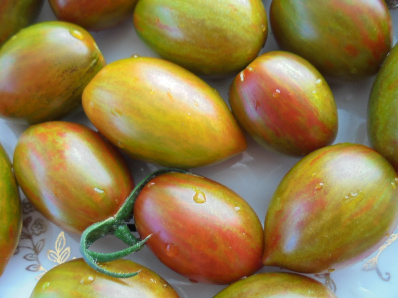 BRAD'S ATOMIC GRAPE Tomato Seeds Heirloom Colorful Etsy Australia