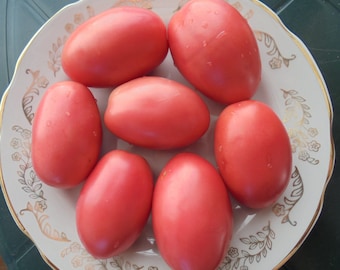 Semillas de tomate PINK THAI EGG, tomate rosa, tomate con forma de huevo, 15 semillas