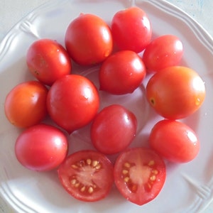 May include: A white plate with a variety of red tomatoes. The tomatoes are different sizes and shapes, and some are cut in half.