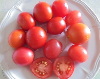 RASPBERRY HOOD (Malinowy Kapturek) Dwarf Balcony Patio Tomato Seeds, Grow in Pots, Pink Tomato Seeds, 15 Seeds