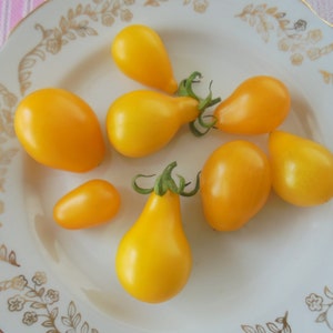 YELLOW PEARSHAPED Tomato Seeds, Heirloom Indeterminate Yellow Cherry Pear Shaped Tomatoes, 15 Seeds