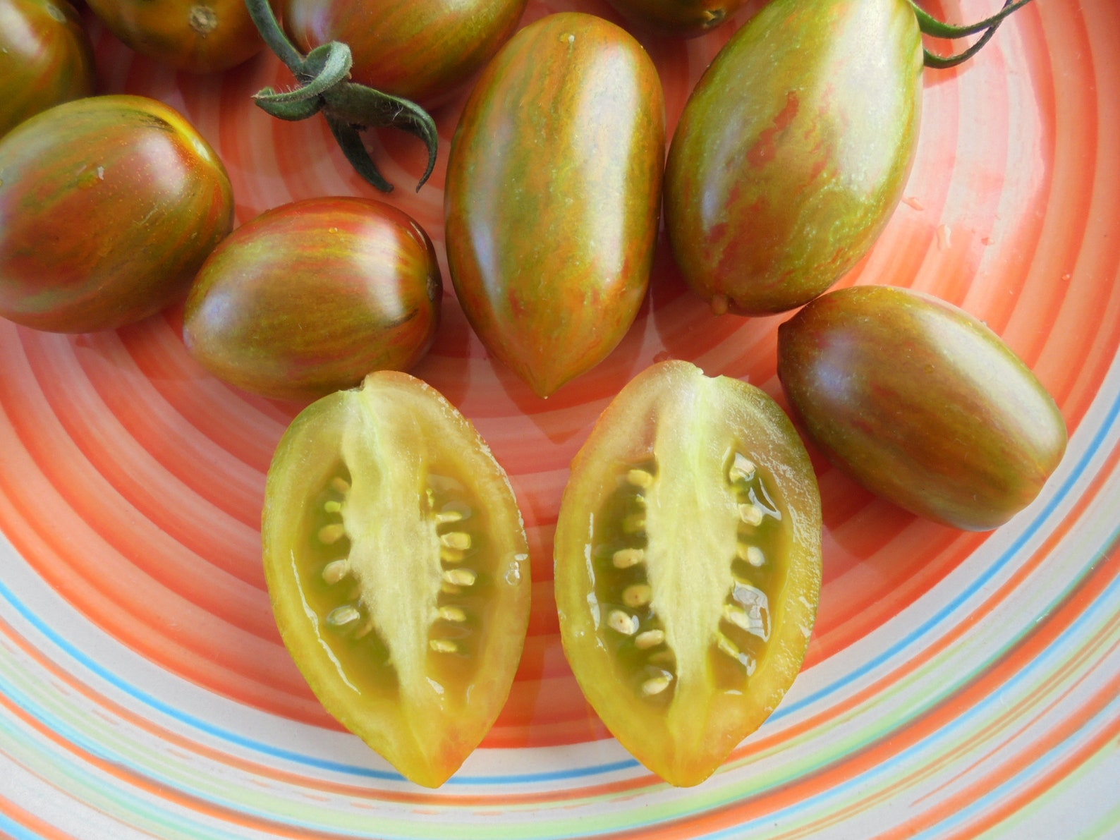 BRAD'S ATOMIC GRAPE Tomato Seeds Heirloom Colorful Etsy UK