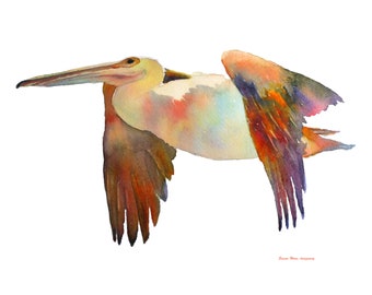 Pelican print from original watercolor by Susan Horn