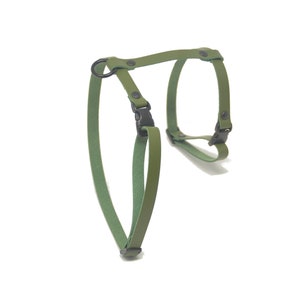 May include: A green leather dog harness with black metal hardware and adjustable straps.