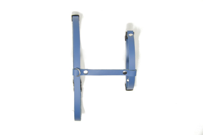 May include: A blue leather dog harness with a metal ring and adjustable straps.