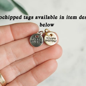 May include: Two small round metal tags with the words "microchipped" engraved on them. One tag is silver and the other is gold.