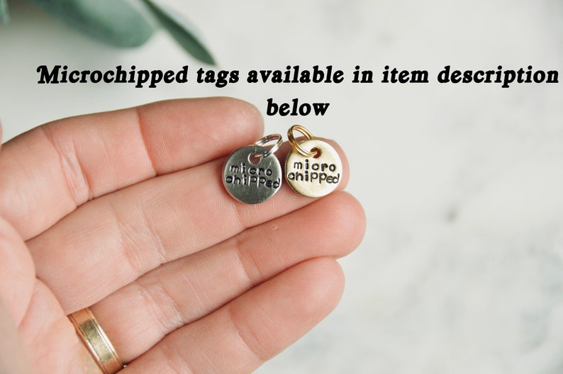 May include: Two small round metal tags with the words "microchipped" engraved on them. One tag is silver and the other is gold.