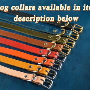 Personalized Dog Tag,Dog Gift,Gold Tag,Engraved,Brass,Dog Collar Tag,Custom,Dog ID Tag,Small Dog Tag,Pet Tag,Dog Name Tag,Puppy Tag,New Dog image 6