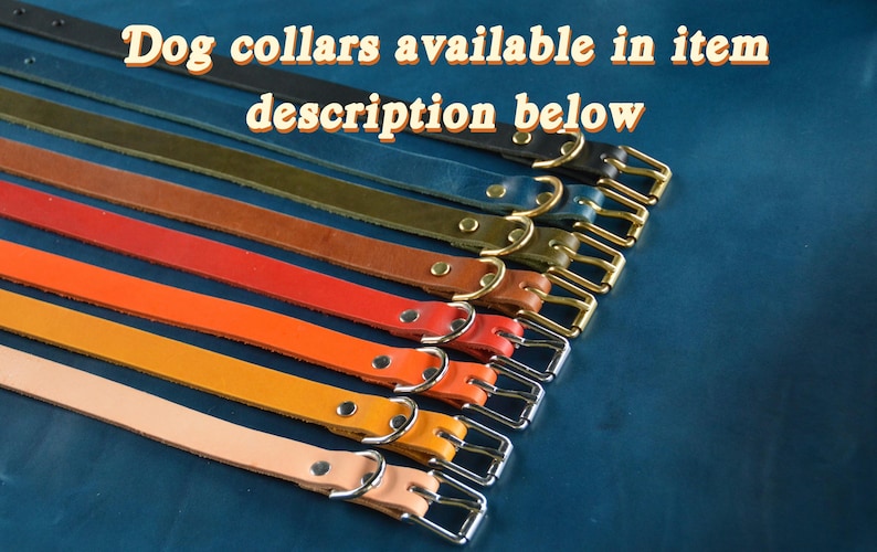 Personalized Dog Tag,Dog Gift,Gold Tag,Engraved,Brass,Dog Collar Tag,Custom,Dog ID Tag,Small Dog Tag,Pet Tag,Dog Name Tag,Puppy Tag,New Dog image 6