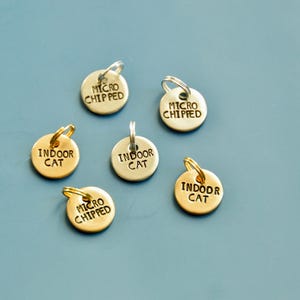 May include: Six small, round pet tags with a silver or gold finish, arranged on a blue surface. The tags have a loop for attachment and are engraved with the words "MICRO CHIPPED" and "INDOOR CAT".
