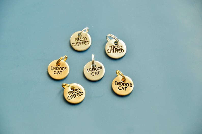 May include: Six small, round pet tags with a silver or gold finish, arranged on a blue surface. The tags have a loop for attachment and are engraved with the words "MICRO CHIPPED" and "INDOOR CAT".