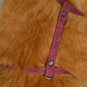 May include: A close-up of a red dog harness with silver metal hardware. The harness is made of a soft, textured material and has a buckle closure.