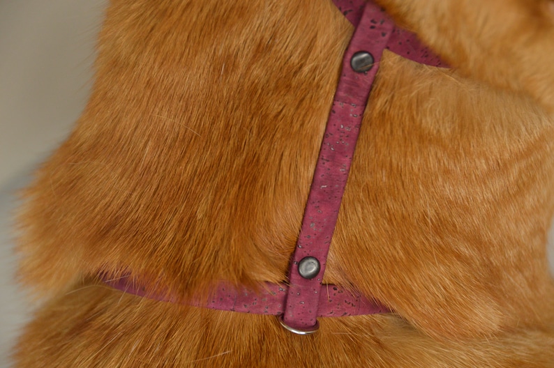 May include: A close-up of a red dog harness with silver metal hardware. The harness is made of a soft, textured material and has a buckle closure.