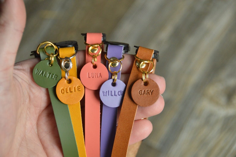 May include: Five leather dog collars with metal rings and personalized name tags. The collars are in the colors green, yellow, orange, purple, and brown. The name tags read "Walter", "Ollie", "Luna", "Willow", and "Gary".