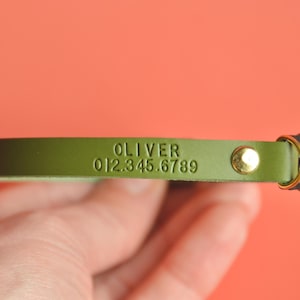 May include: Green leather cat collar with a black cat head charm and the name "OLIVER" and phone number "012.345.6789" engraved on it.