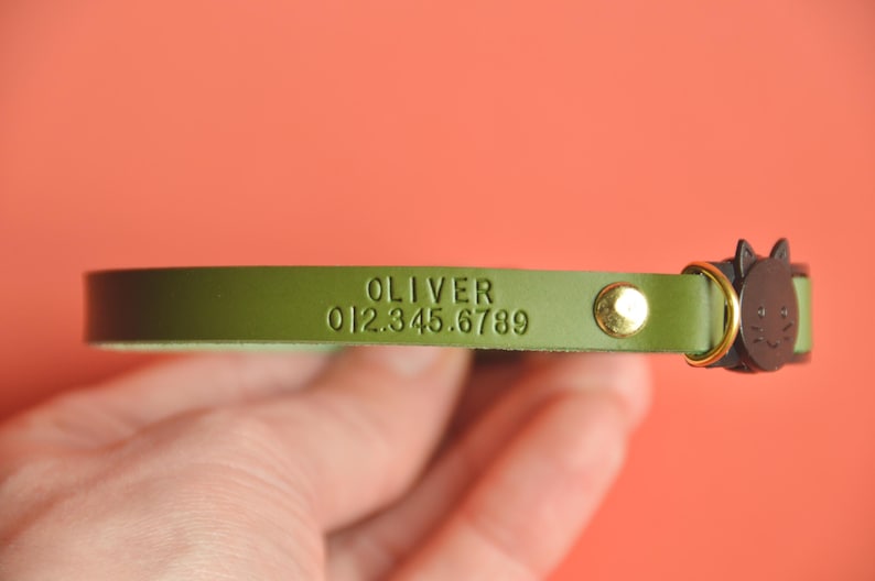 May include: Green leather cat collar with a black cat head charm and the name "OLIVER" and phone number "012.345.6789" engraved on it.
