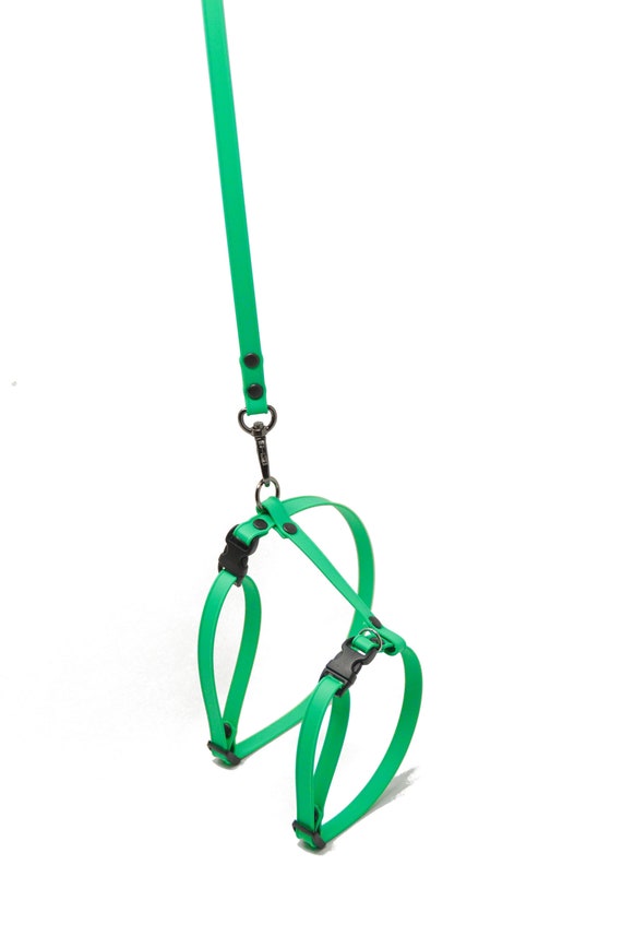Cat Harness With Leash Biothane Biothane Cat Durable Etsy