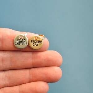 May include: Two small, round pet tags are held in a hand. One tag is silver and reads "MICRO CHIPPED." The other is gold and reads "INDOOR CAT." Both tags have small loops for attaching to a collar. The background is a solid blue.