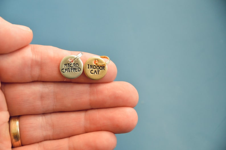 May include: Two small, round pet tags are held in a hand. One tag is silver and reads "MICRO CHIPPED." The other is gold and reads "INDOOR CAT." Both tags have small loops for attaching to a collar. The background is a solid blue.