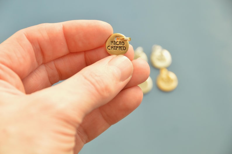 May include: A small, round, gold-colored charm with the words "MICRO CHIPPED" engraved on it. The charm has a small loop at the top. Other charms are blurred in the background.