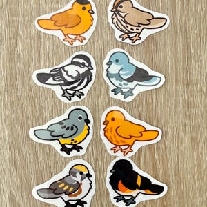 Può includere: Una collezione di otto adesivi di uccelli colorati con bordi bianchi. Gli uccelli presentano vari disegni, tra cui uccelli arancioni, marroni, blu e neri, con dettagliati motivi sulle ali e sul corpo. Questi adesivi sono ideali per decorare quaderni, laptop o altri oggetti.