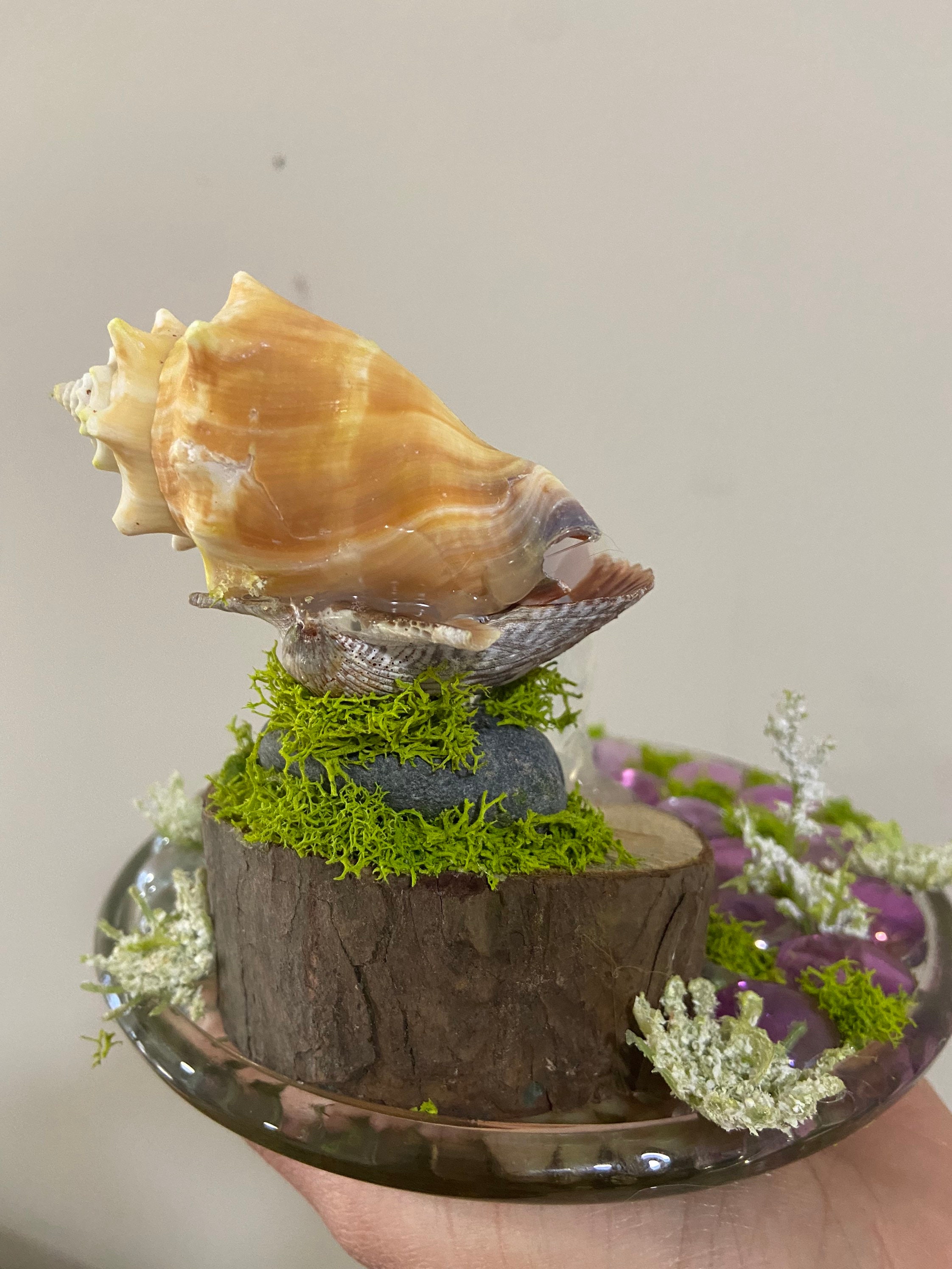 Seashell Cascade Natural Elements Sculpture Waterfall Diorama - Etsy