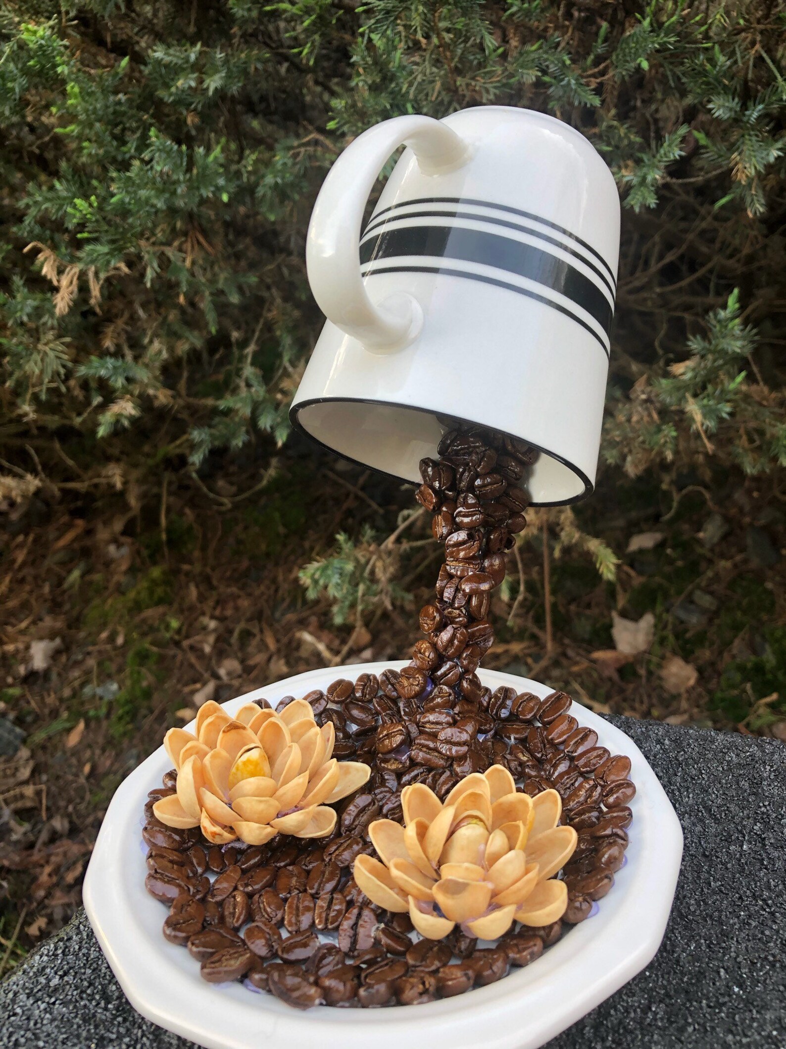 Coffee Teacup Floating Cup With Plate Coffee Beans and Pistachio Shell Flower Natural and