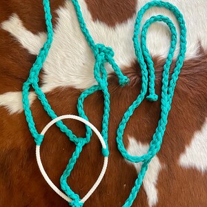 Muletape Halter