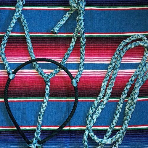 Gray Muletape Halter W/ Teal Rope Noseband Etsy
