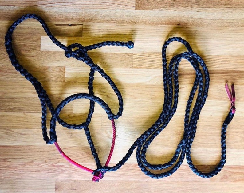 Black Muletape Halter w Red Rope Noseband w Leather Switch