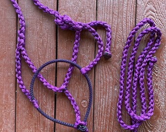 May include: A purple horse halter and lead rope set. The halter is a deep purple with a dark navy blue noseband and a braided design. The lead rope is a matching purple, also with a braided design. The set is designed for equine use.