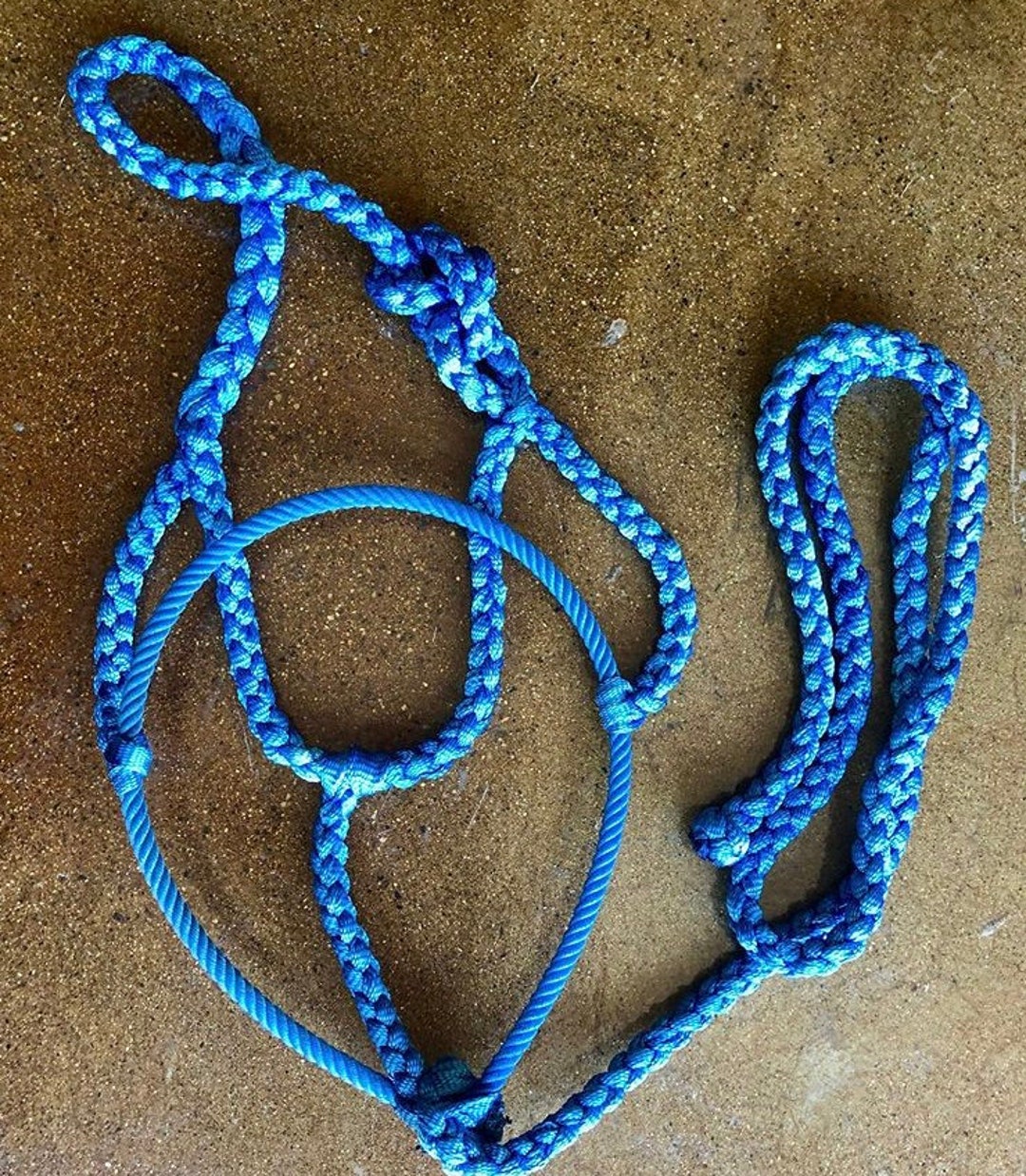 Blue on Blue Rope Noseband Halter Etsy
