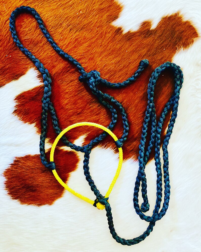Black Muletape w yellow rope noseband