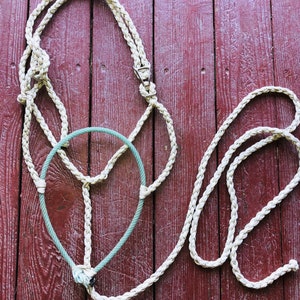 May include: A white rope halter with a green rope noseband. The halter is laid out on a red wooden surface.