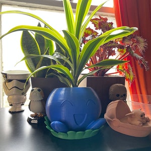 May include: Three potted plants on a black table. The plants are a snake plant, a begonia, and a spider plant. The spider plant is in a blue and green 3D printed pot shaped like a smiling face. The other two plants are in brown pots. There are also several small figurines on the table.