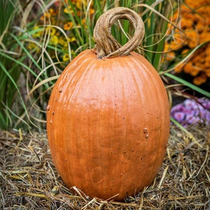 May include: A smooth, orange, oval-shaped pumpkin sculpture with a textured, brown, twisted stem at the top. The surface of the pumpkin features vertical ridges and small, raised bumps, giving it a realistic appearance with a glossy finish.