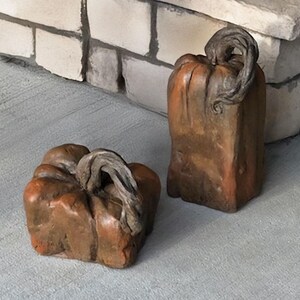 May include: Two decorative pumpkins with a rustic, weathered appearance. One is squat and rounded, the other is tall and rectangular. Both have textured, brown-orange surfaces and dark, twisted stems. They are placed on a gray surface, suggesting an autumn or harvest theme.