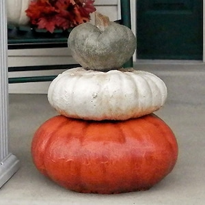 May include: A decorative stack of three pumpkins in shades of orange, white, and green. The pumpkins are arranged one on top of the other, creating a fall-themed display. The bottom pumpkin is a vibrant orange, the middle one is white, and the top is a muted green.