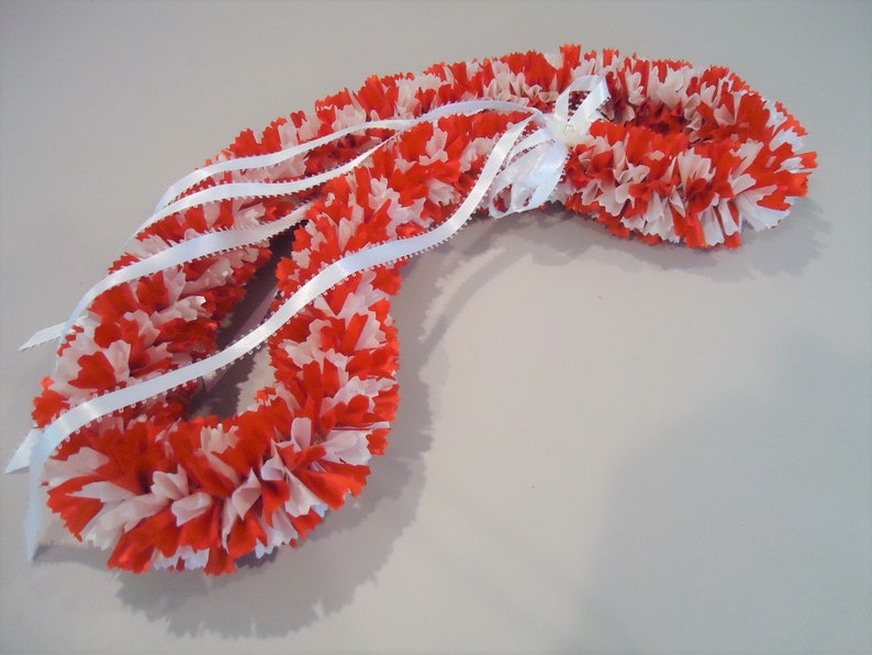 Red and White Carnation Ribbon Lei